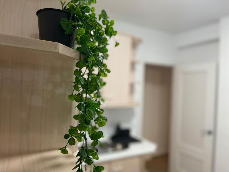 Appartement Elegancia Junto Al Rectorado. à Cordoue Extérieur photo